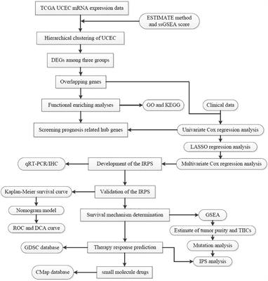 Identification of a Novel Immune Landscape Signature for Predicting Prognosis and Response of Endometrial Carcinoma to Immunotherapy and Chemotherapy